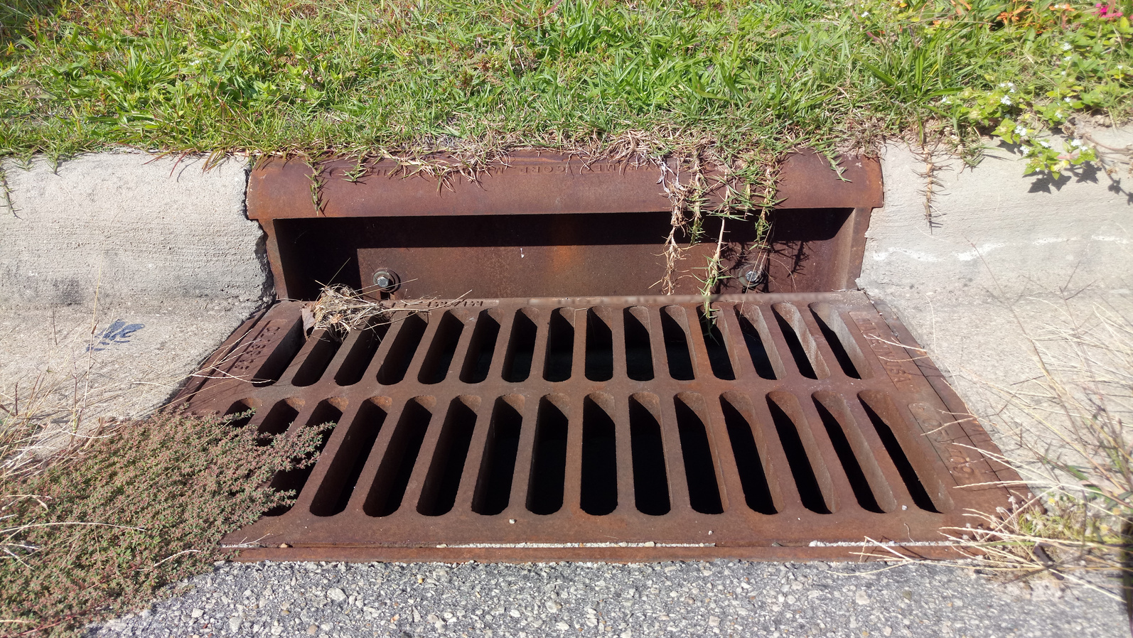 Storm Drain